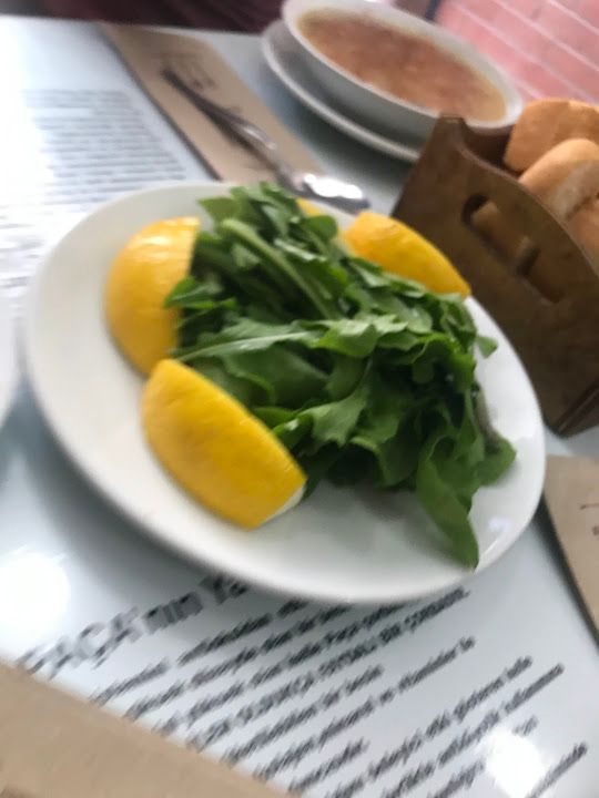 Fotoğraf 21