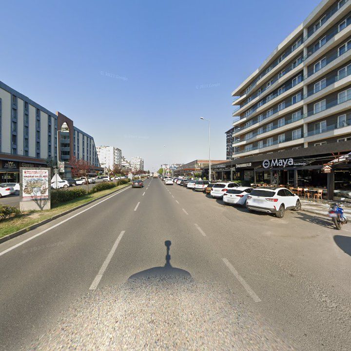 Fotoğraf 12