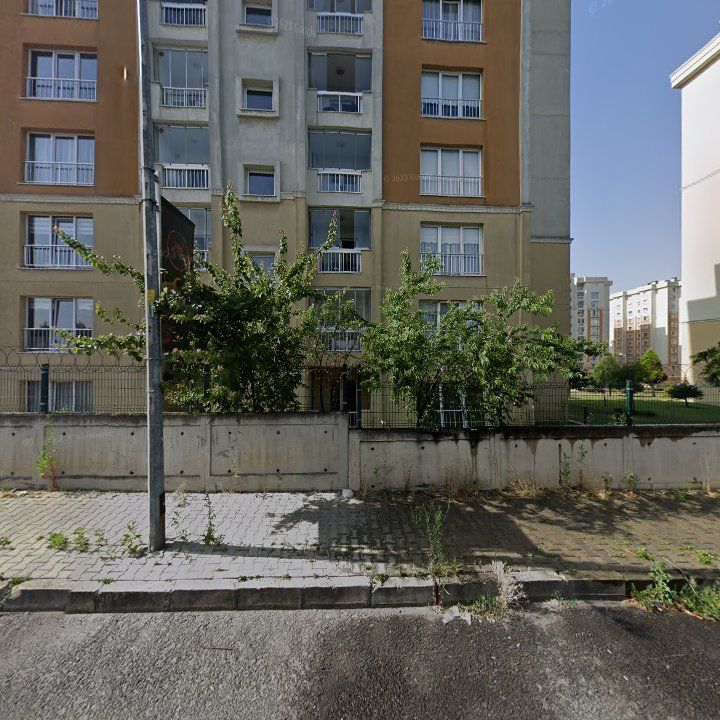 Fotoğraf 11