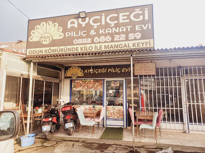 Ayçiçeği Piliç Evi 2