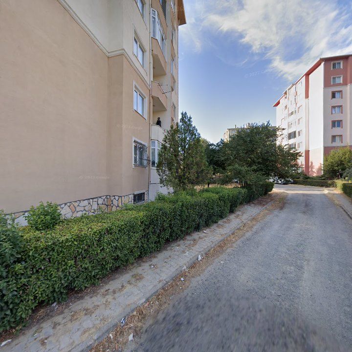 Fotoğraf 12