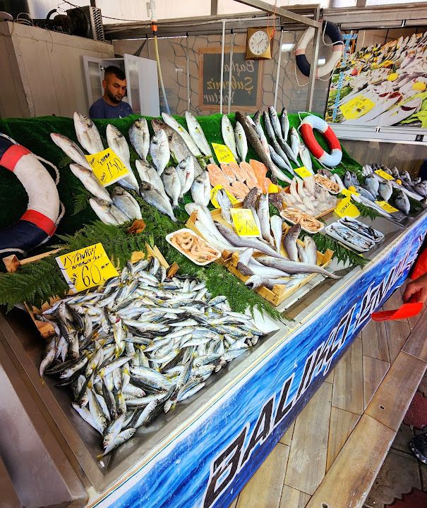 Fotoğraf 17