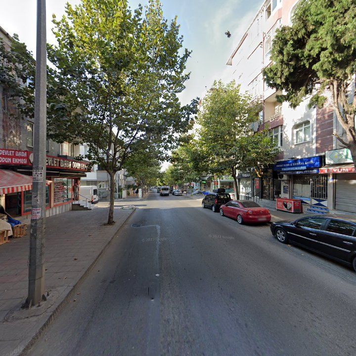 Fotoğraf 10