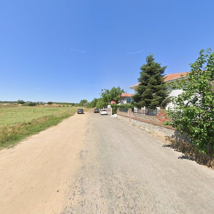 Fotoğraf 10