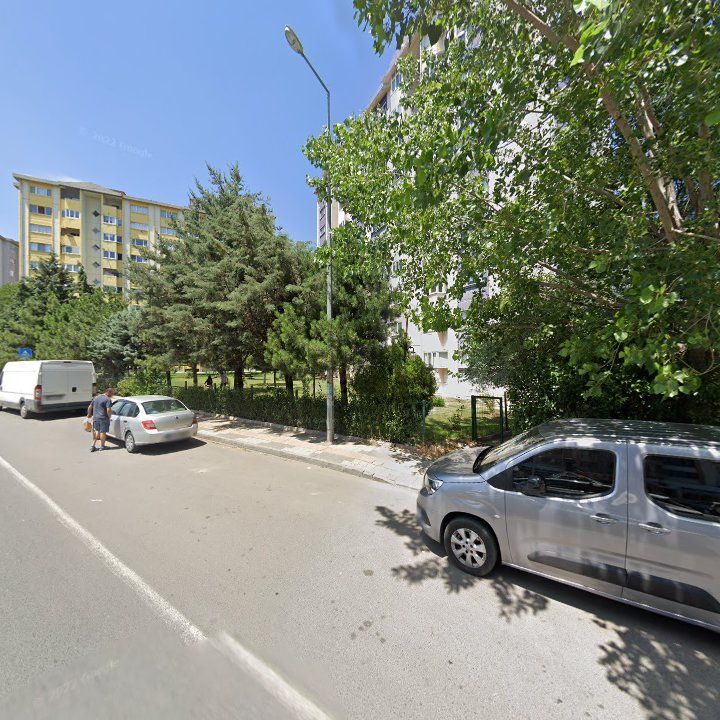 Fotoğraf 12
