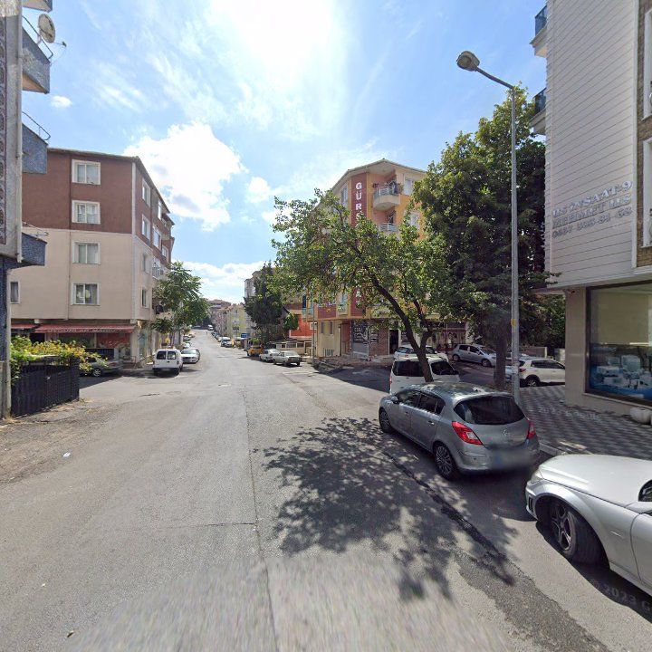 Fotoğraf 11