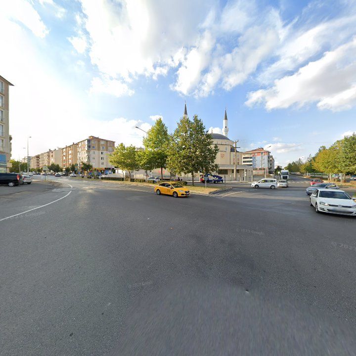 Fotoğraf 10