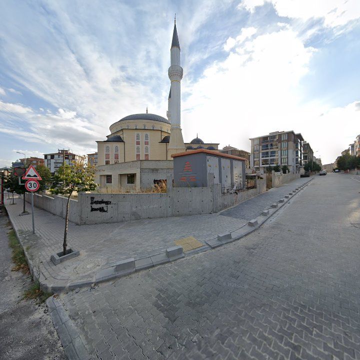 Fotoğraf 9