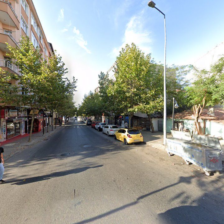 Fotoğraf 7