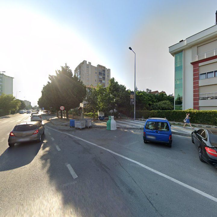 Fotoğraf 13