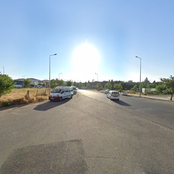 Fotoğraf 8