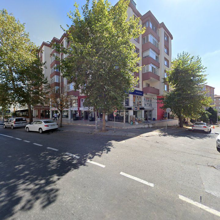 Fotoğraf 11