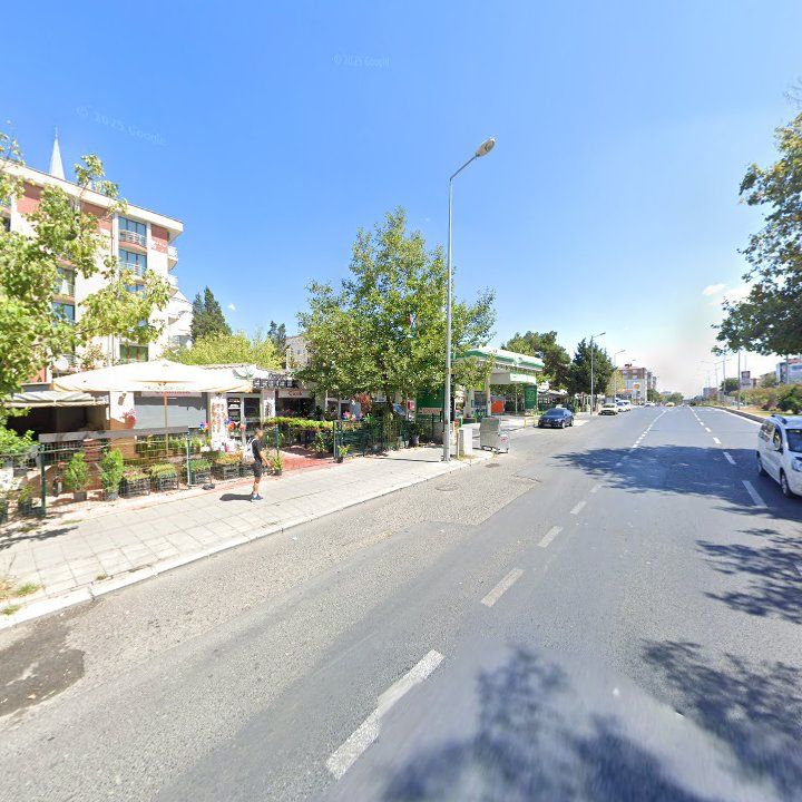 Fotoğraf 10