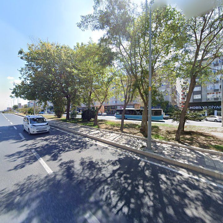 Fotoğraf 7