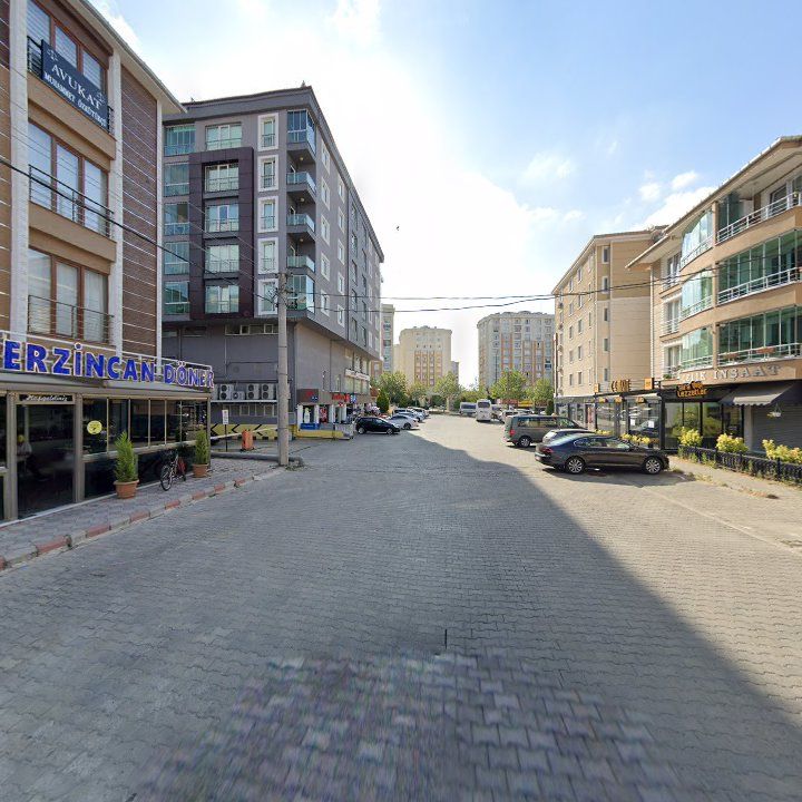 Fotoğraf 11