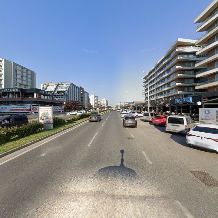 Fotoğraf 13