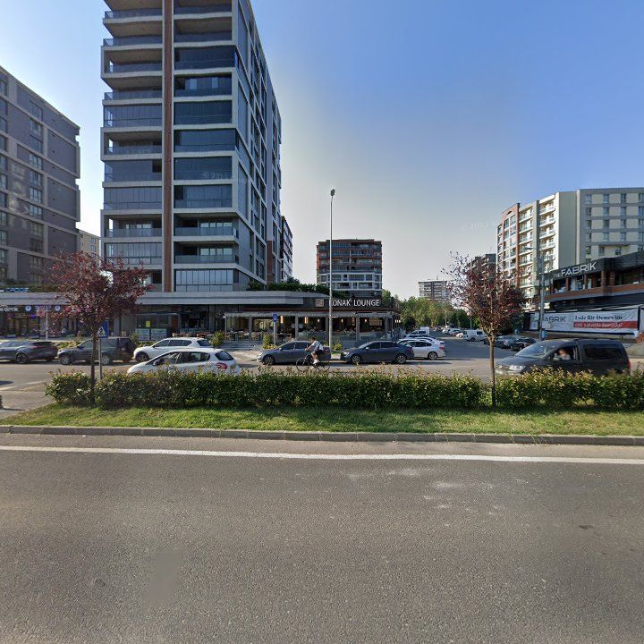Fotoğraf 12