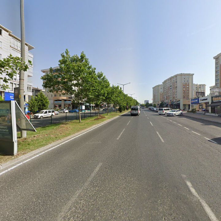 Fotoğraf 10