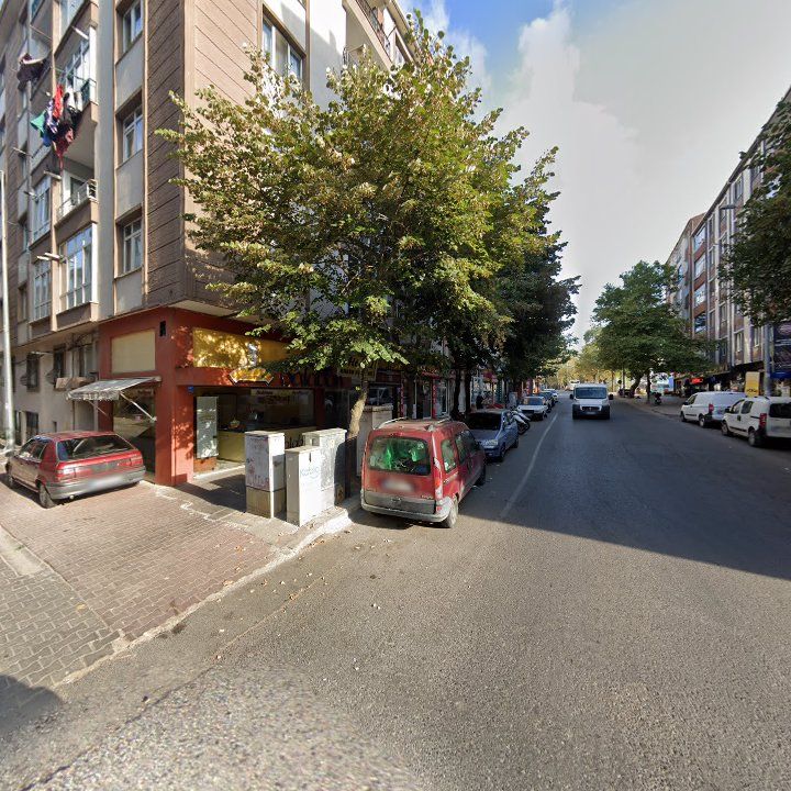 Fotoğraf 12