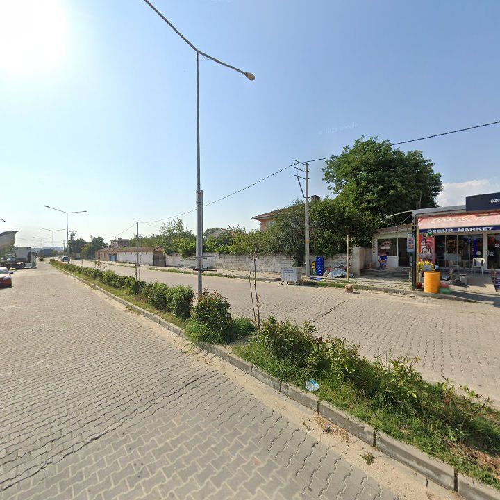 Fotoğraf 12