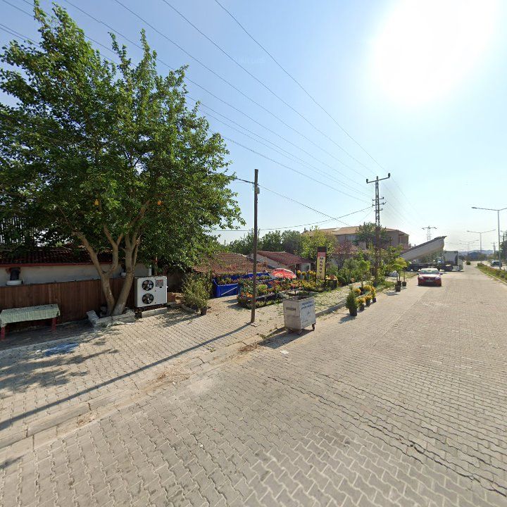 Fotoğraf 11