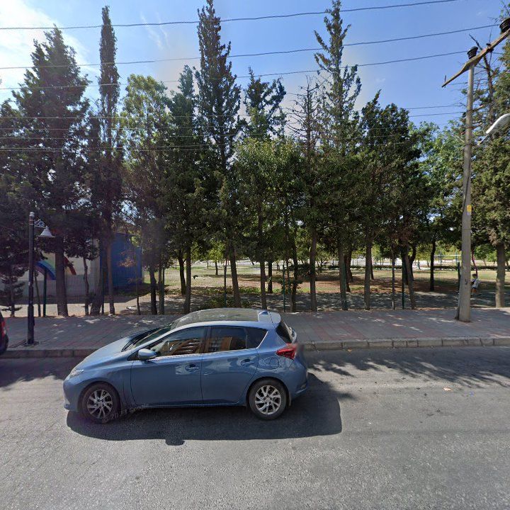 Fotoğraf 9