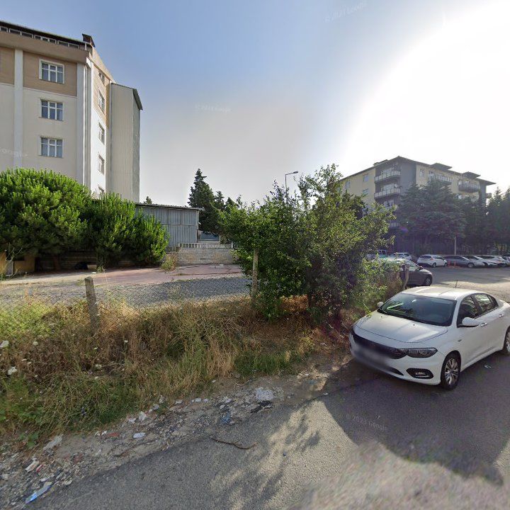 Fotoğraf 12