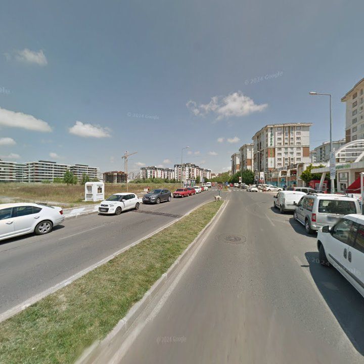 Fotoğraf 10