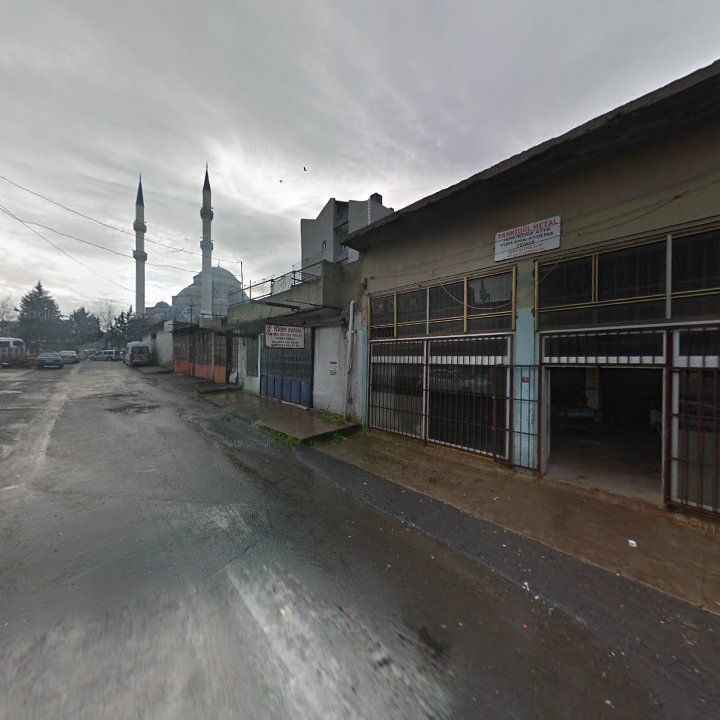 Fotoğraf 6