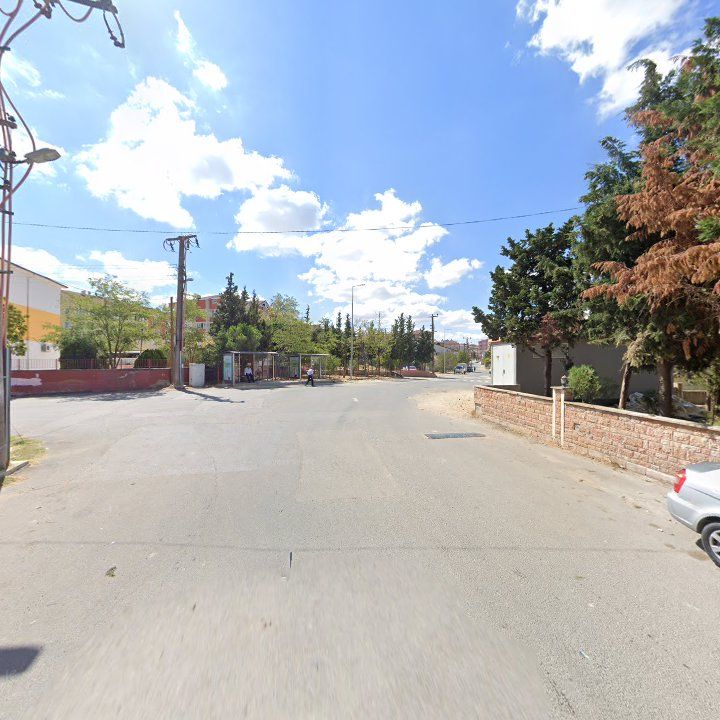 Fotoğraf 8