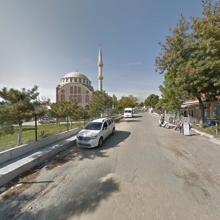 Fotoğraf 8