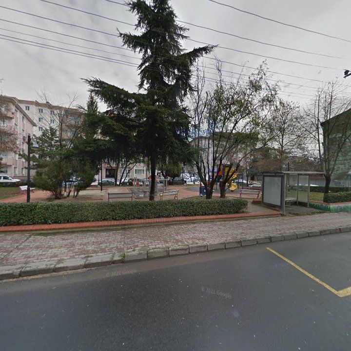 Fotoğraf 11