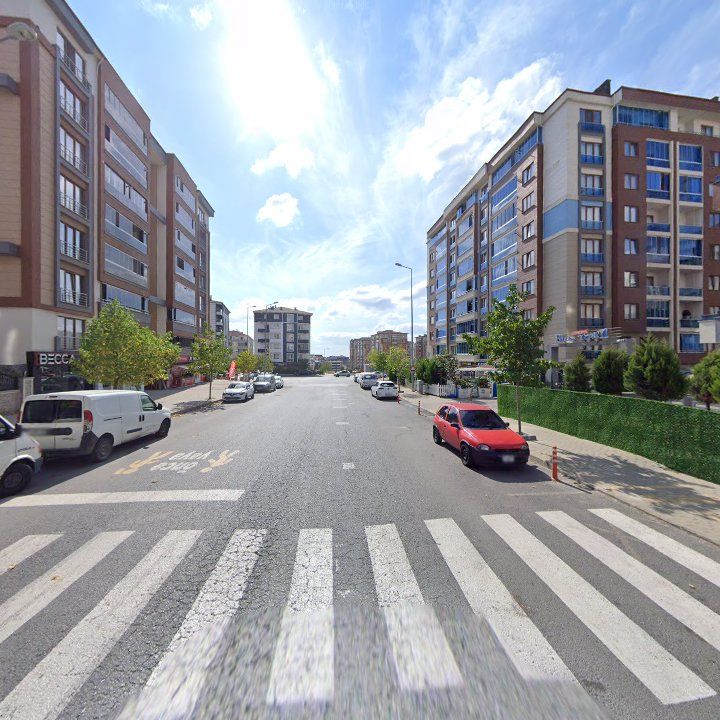 Fotoğraf 11