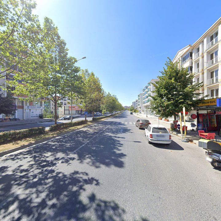 Fotoğraf 12