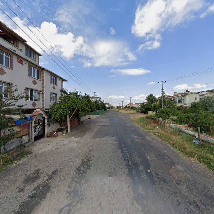 Fotoğraf 9