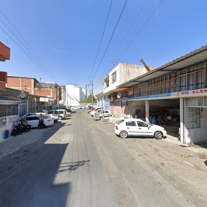 Fotoğraf 9