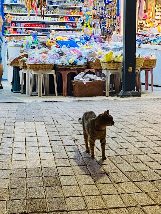Yorum fotoğrafı 2