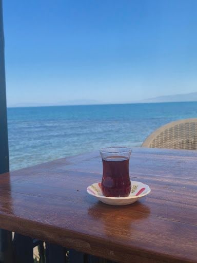 Fotoğraf 13