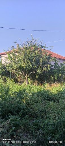 Yorum fotoğrafı 5