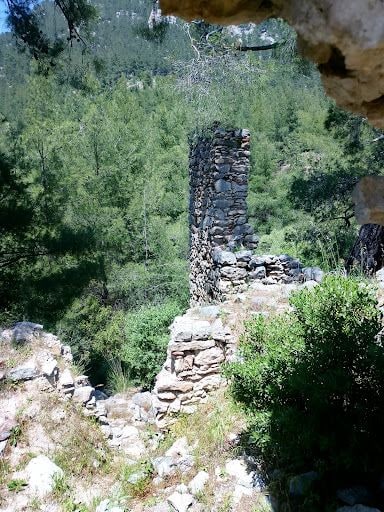 Yorum fotoğrafı 8