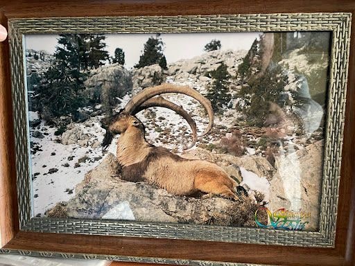Yorum fotoğrafı 6