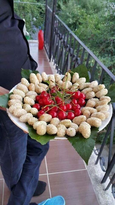 Fotoğraf 14