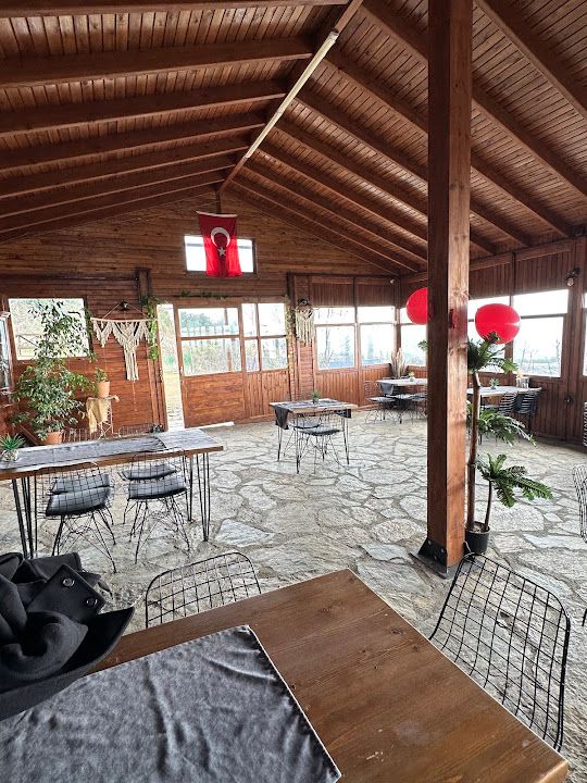 Yorum fotoğrafı 4