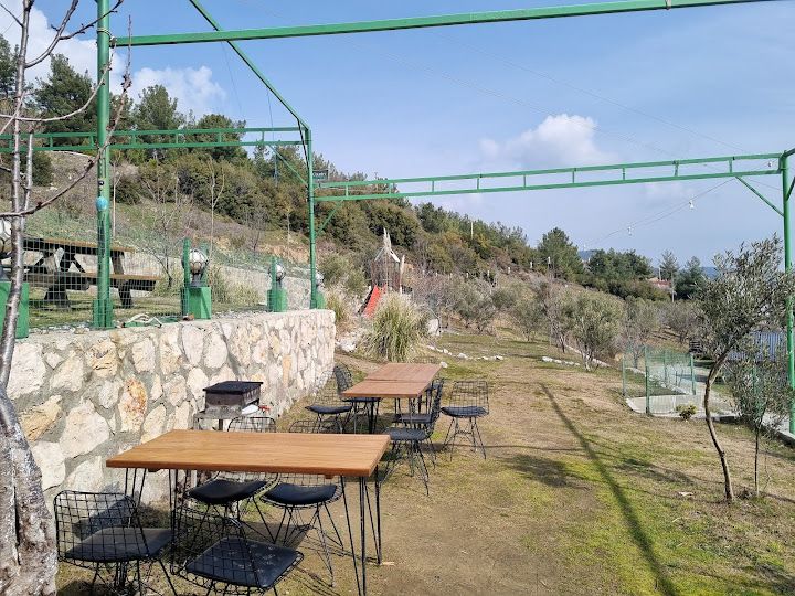 Yorum fotoğrafı 4