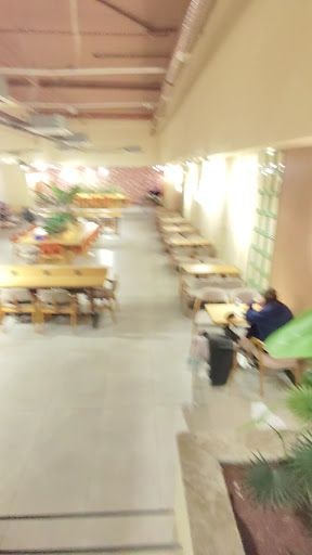 Fotoğraf 12
