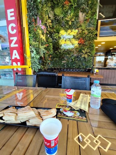 Yorum fotoğrafı 4