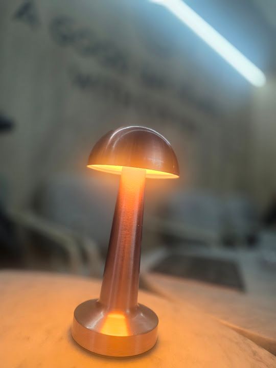 Fotoğraf 17