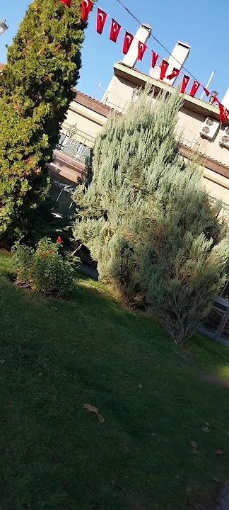 Fotoğraf 22