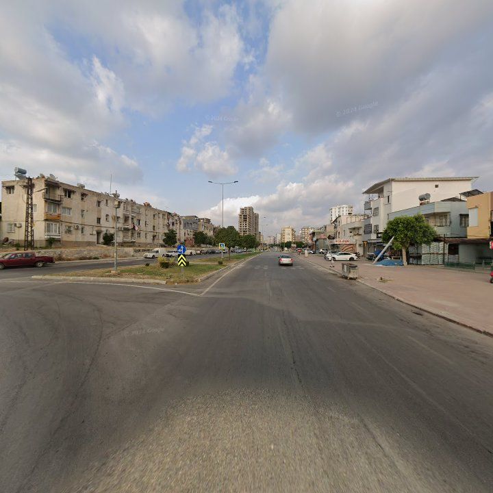 Fotoğraf 12