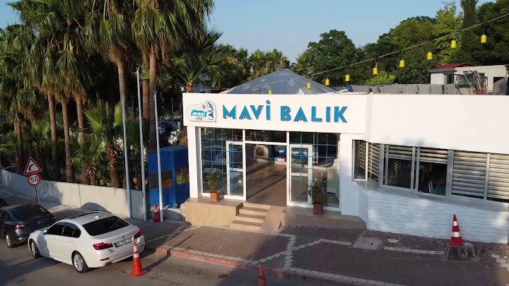 Mavi Balık Adana